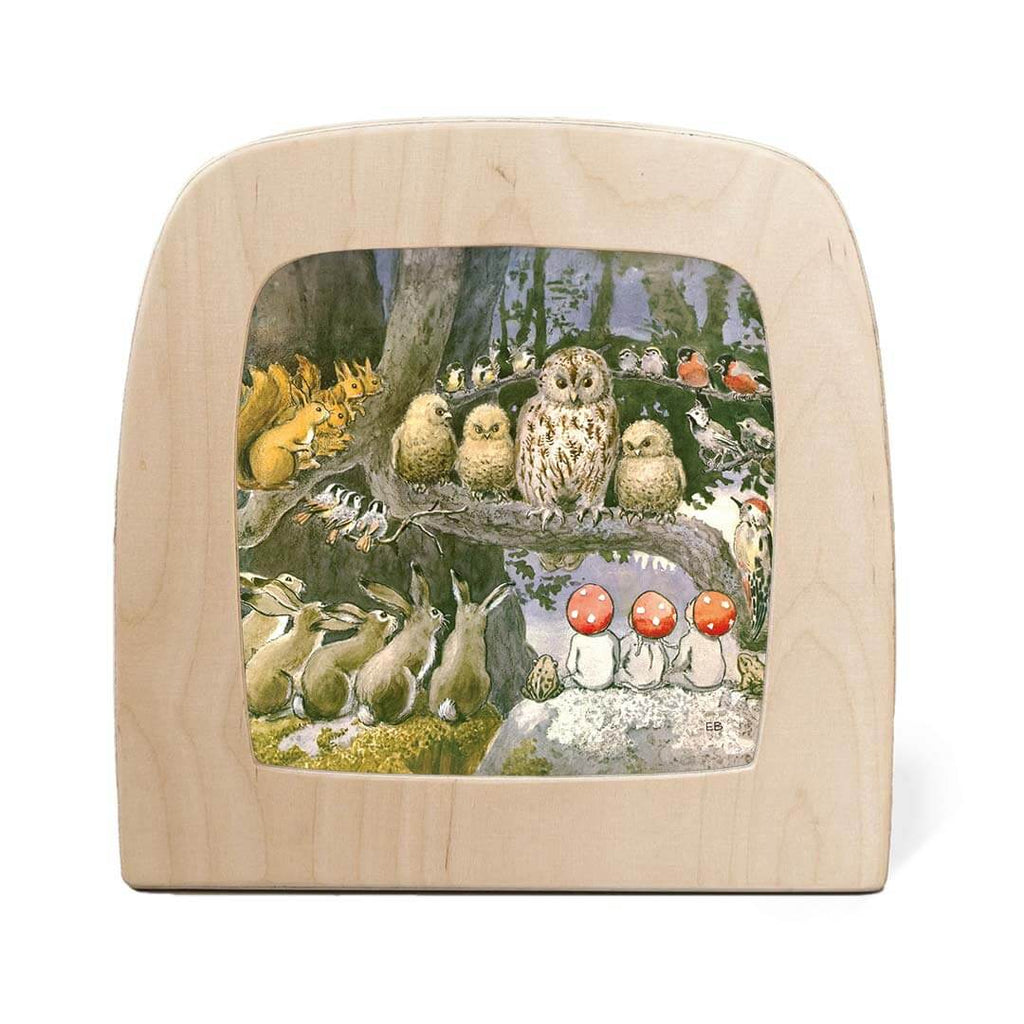 Night Light Transparency - Children Of The Forest Collection