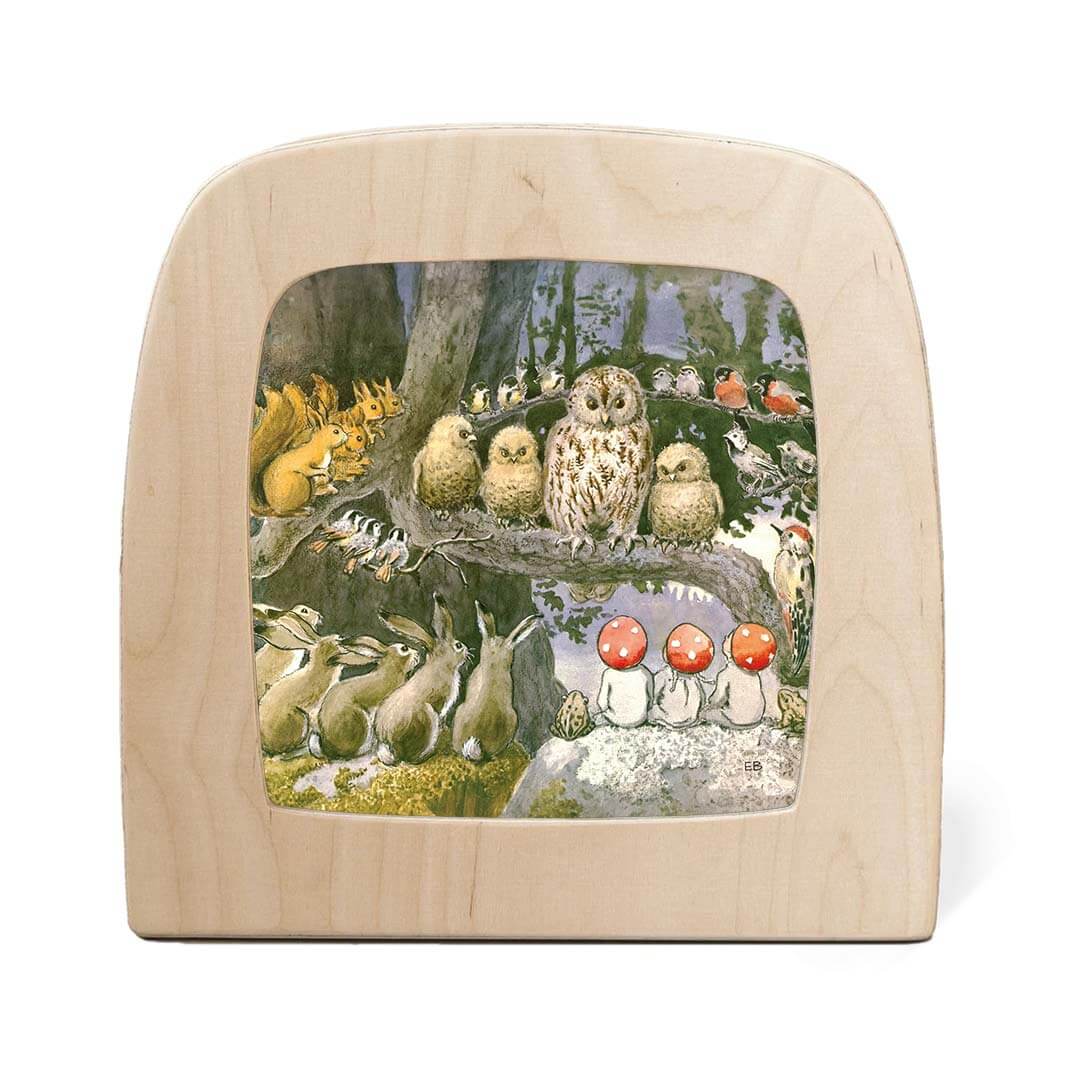 Night Light Transparency - Children Of The Forest Collection