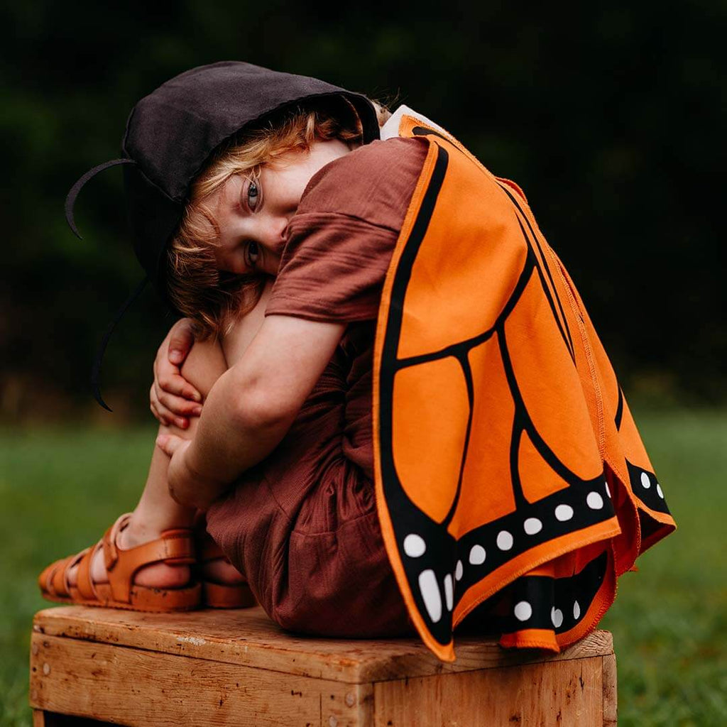 Monarch Butterfly Wings