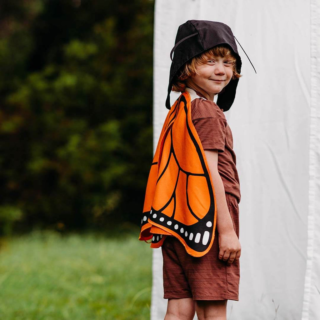 Monarch Butterfly Wings