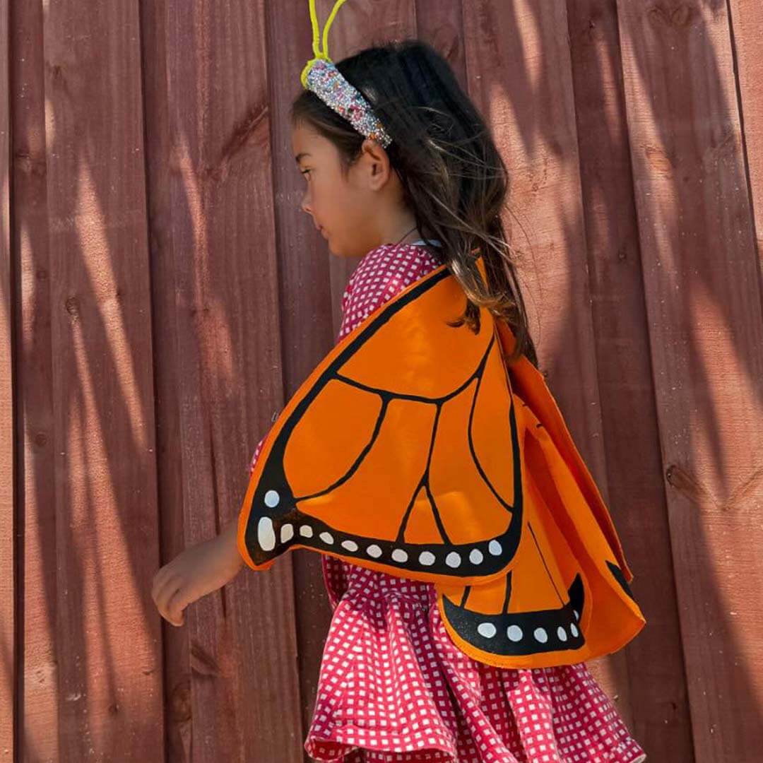 Monarch Butterfly Wings