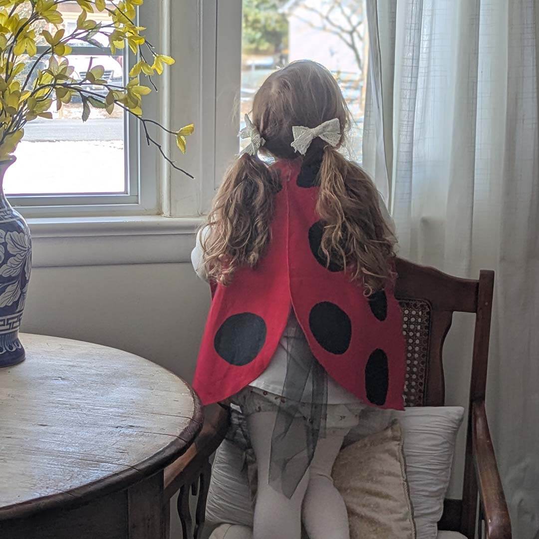 Ladybug Wings Costume