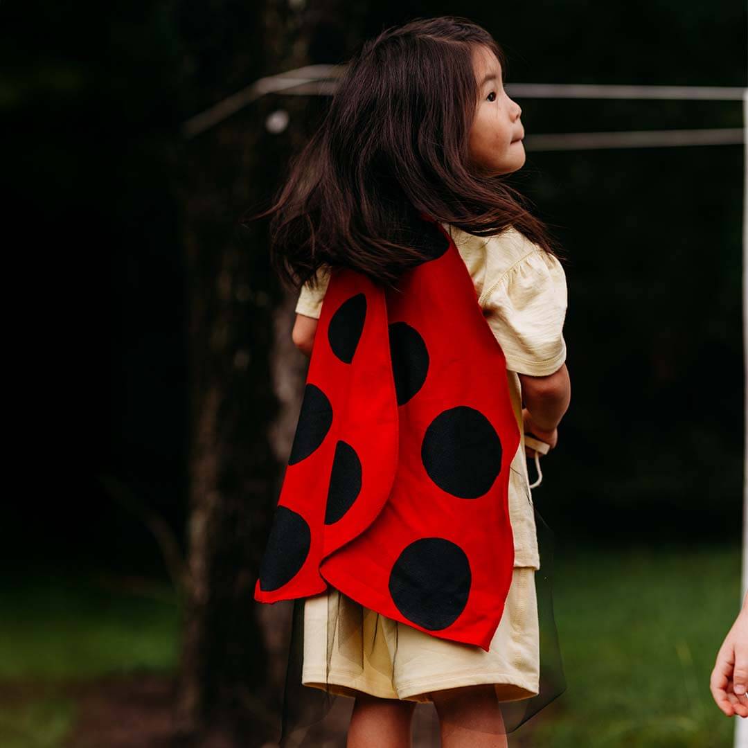 Ladybug Wings Costume