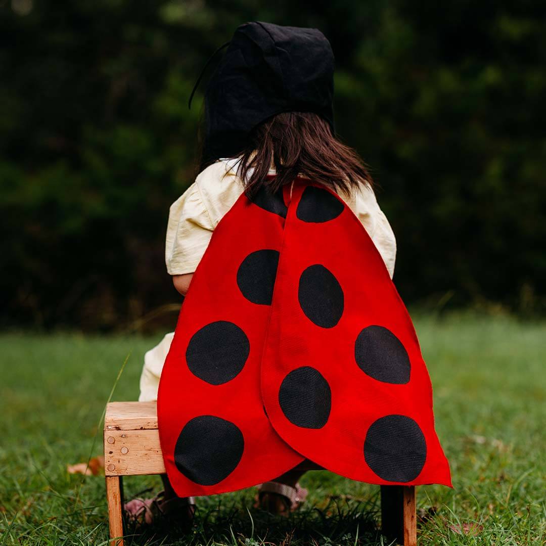 Ladybug Wings Costume
