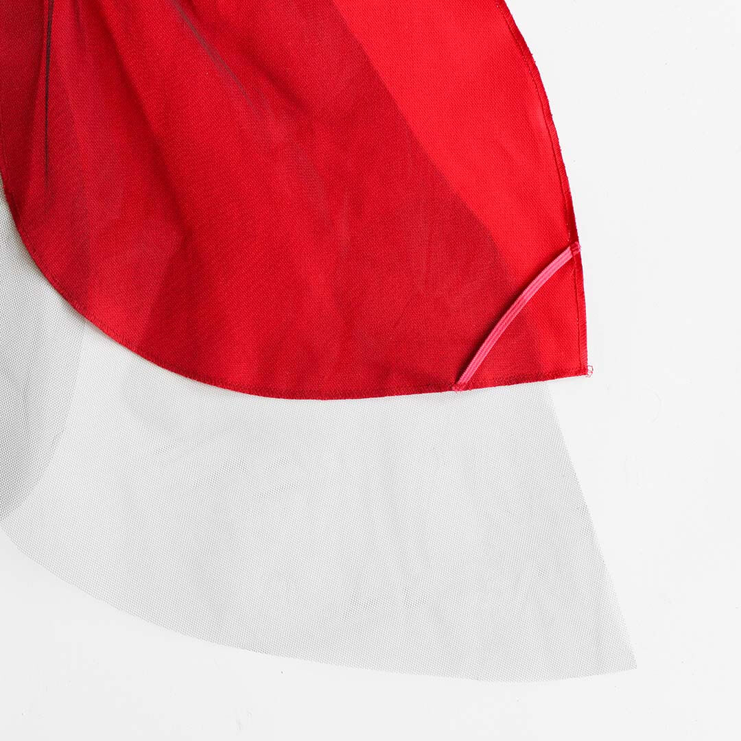Ladybug Wings Costume
