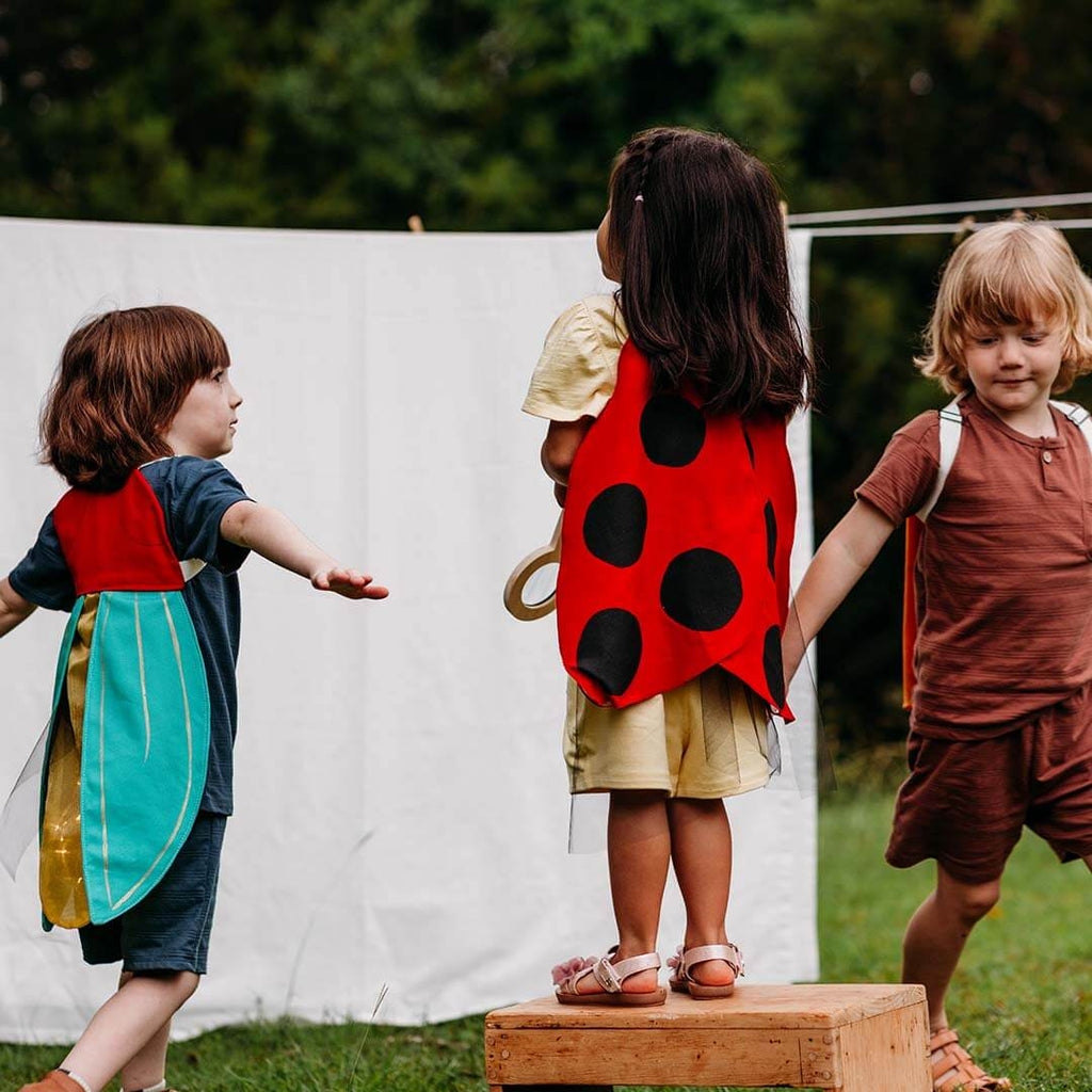 Ladybug Wings Costume