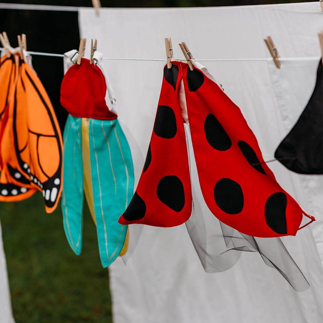 Ladybug Wings Costume