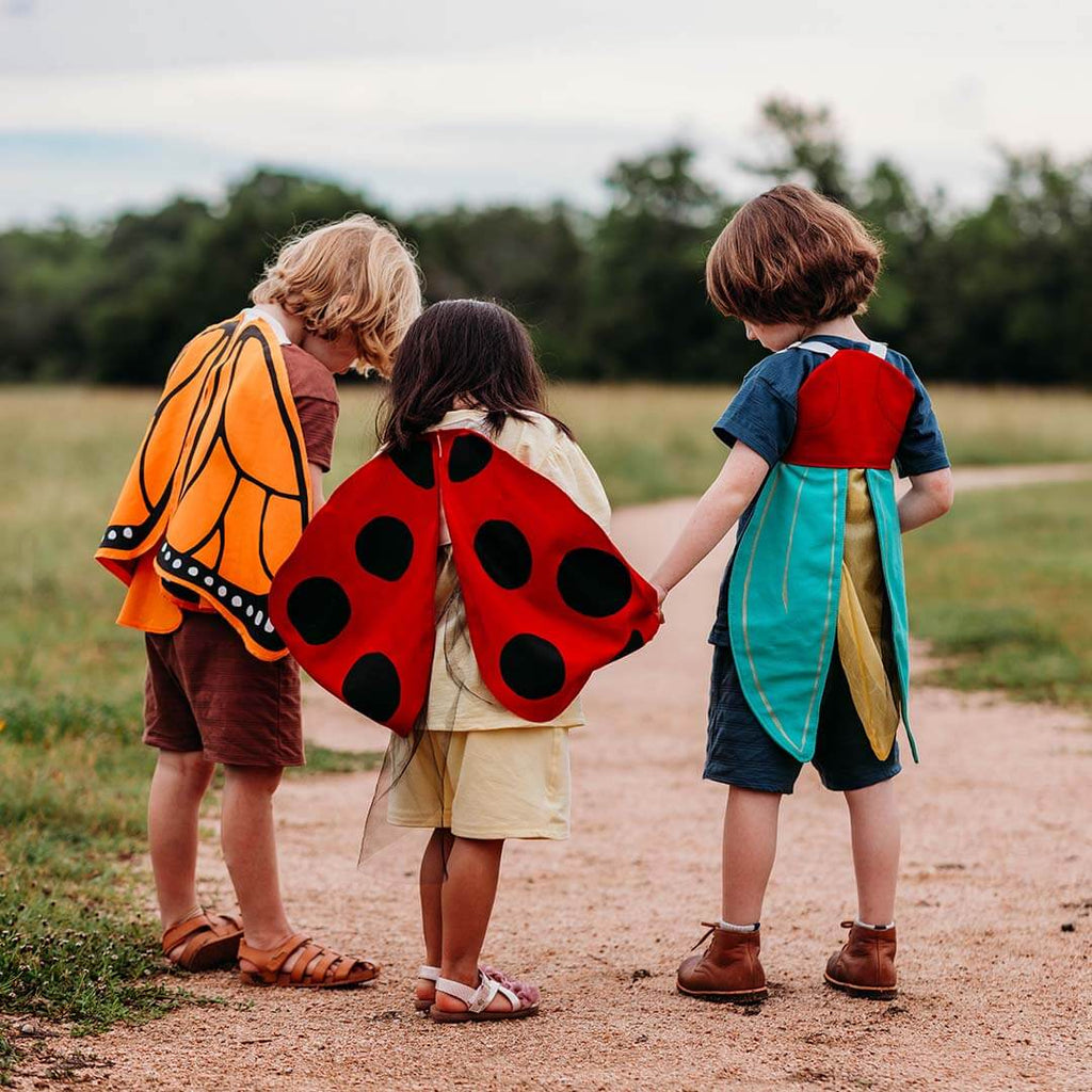 Ladybug Wings Costume
