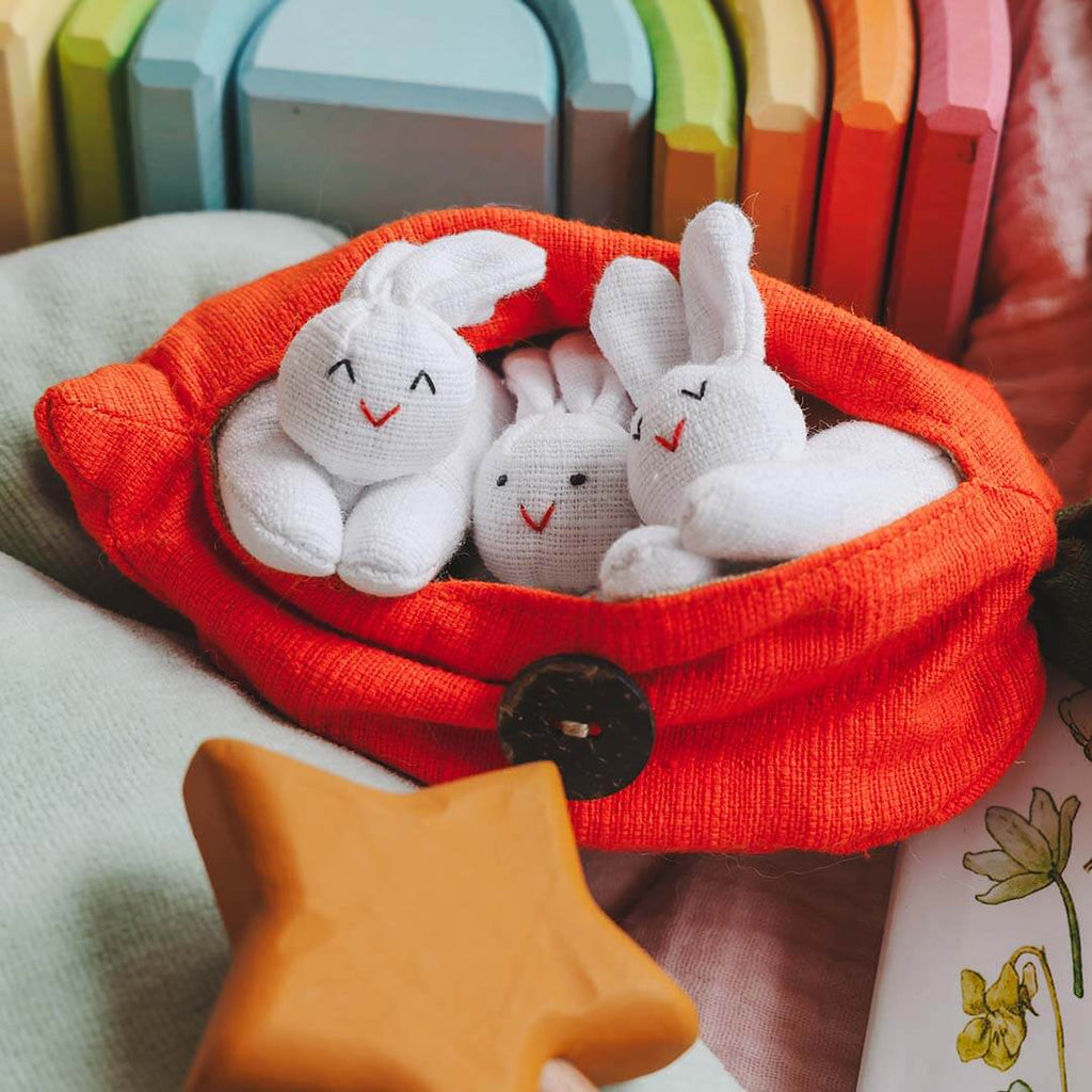 Hide-and-Seek Bunnies in Carrot Pouch
