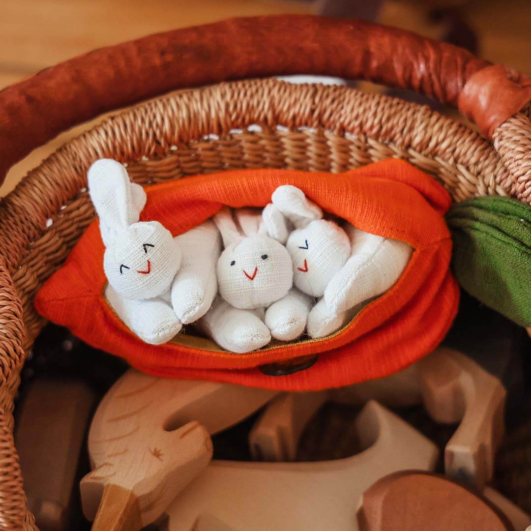 Hide-and-Seek Bunnies in Carrot Pouch