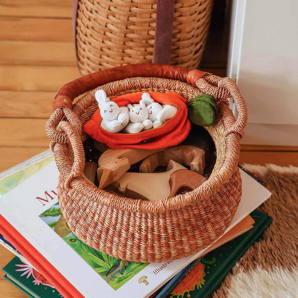 Hide-and-Seek Bunnies in Carrot Pouch