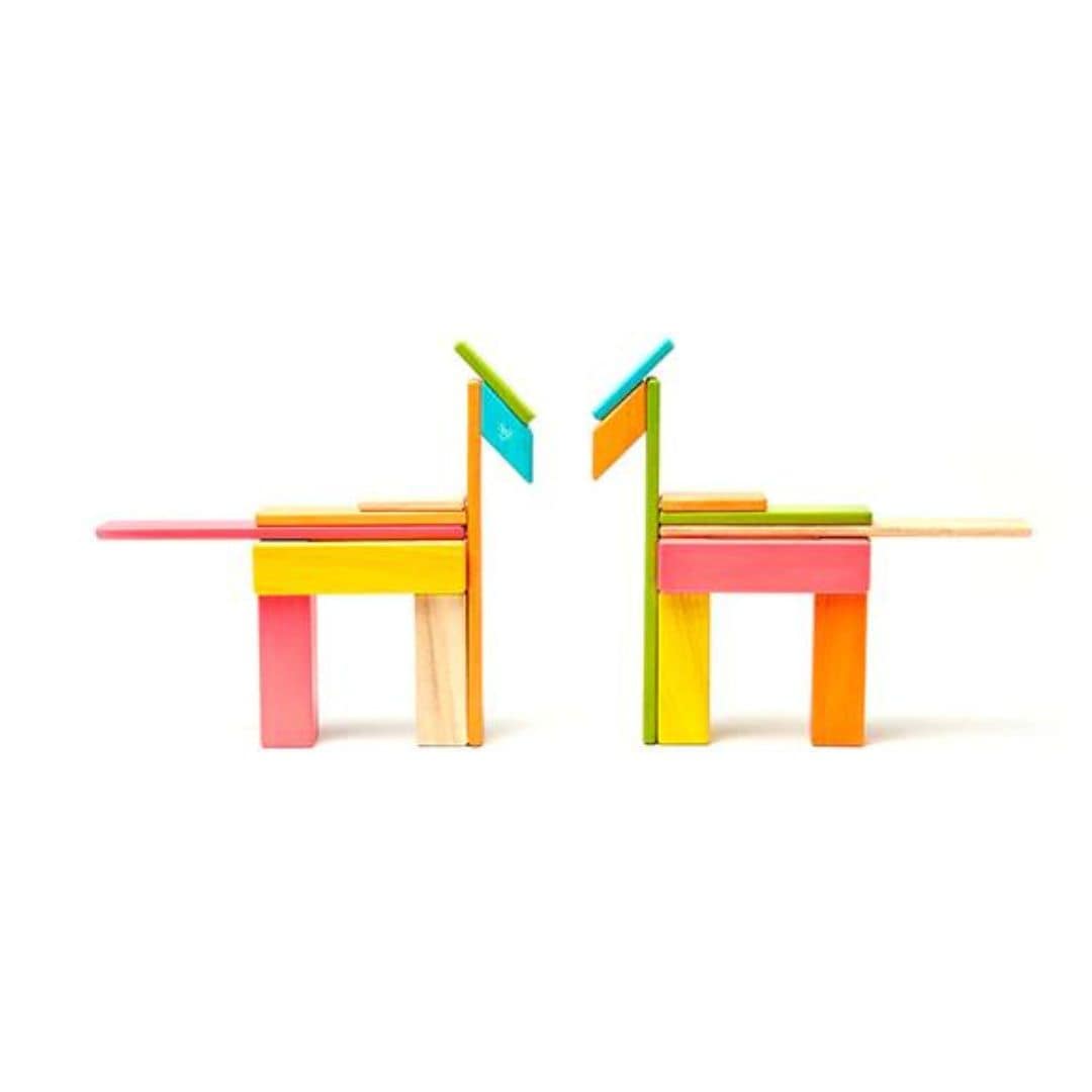 Magnetic Wooden Blocks - 24 Piece Set Tints