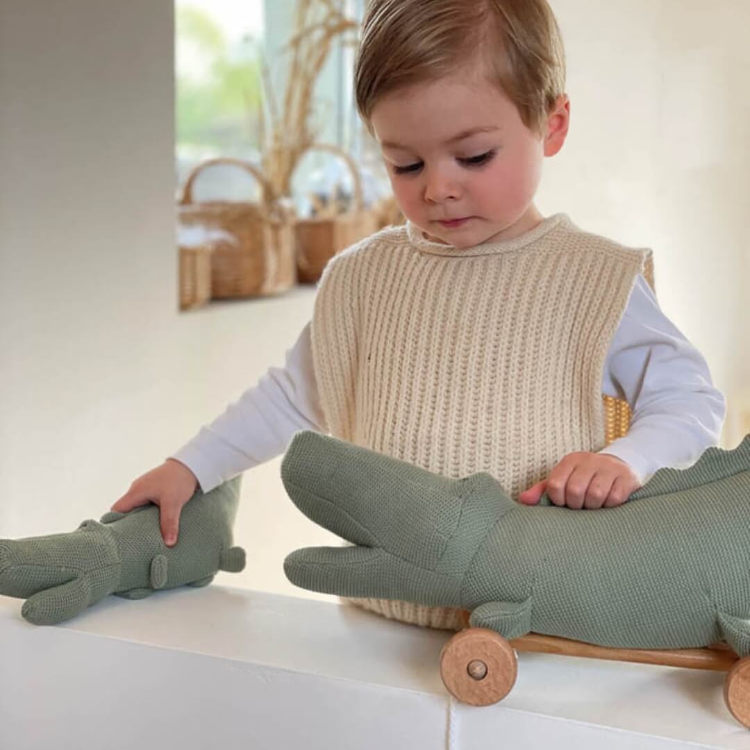 Crocodile Pull-Along Toy