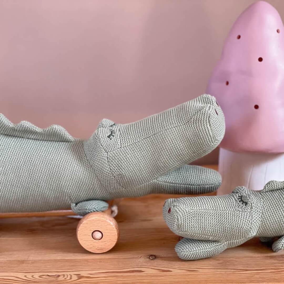 Crocodile Pull-Along Toy