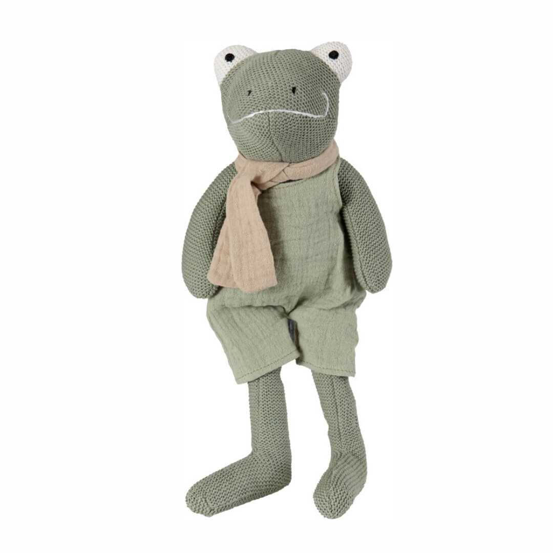 Jeremy the Frog