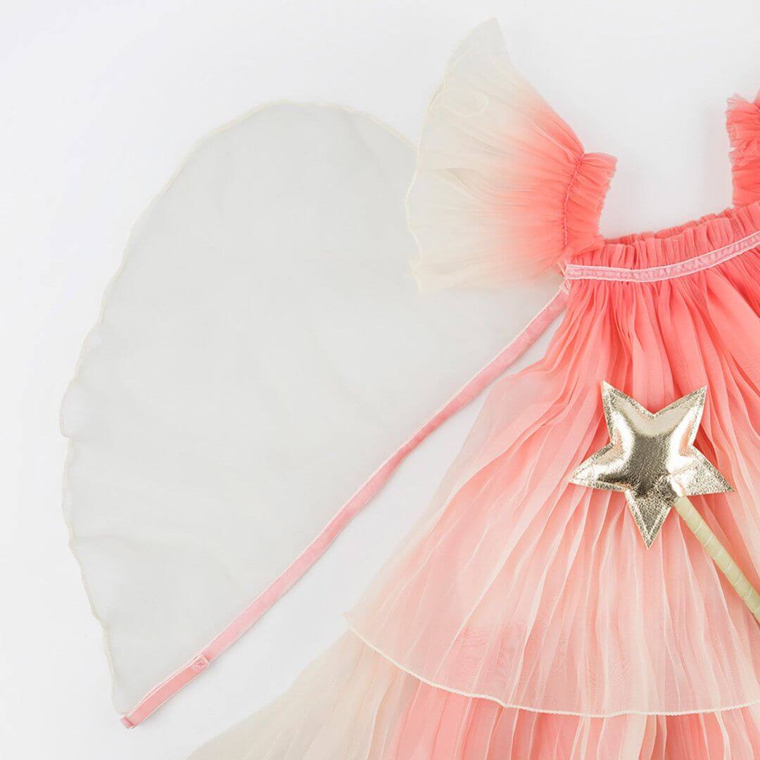Fancy Fairy Costume