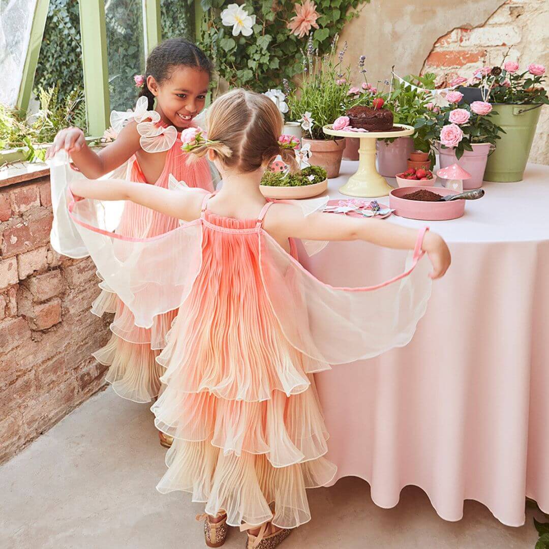 Fancy Fairy Costume