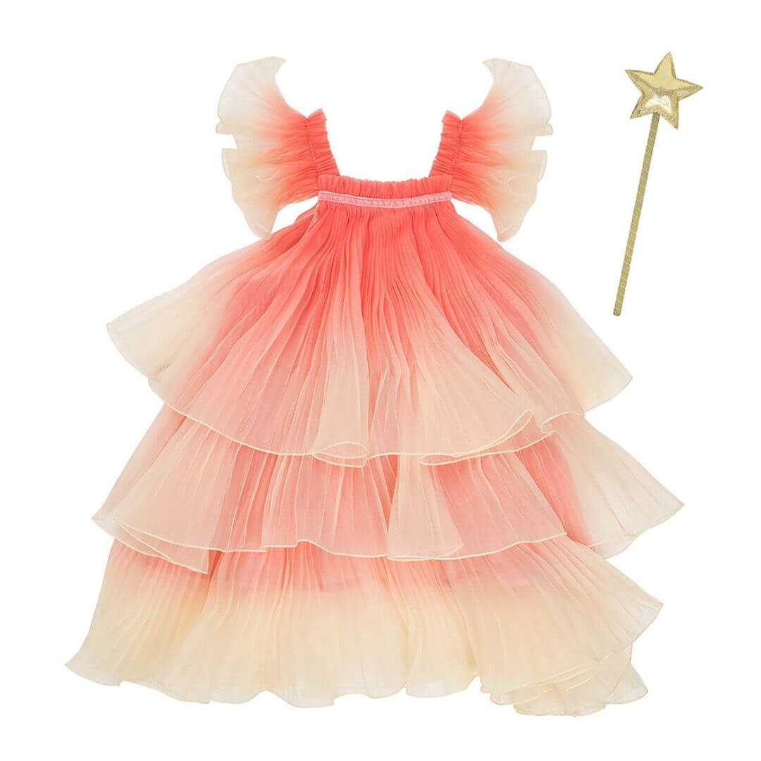 Fancy Fairy Costume