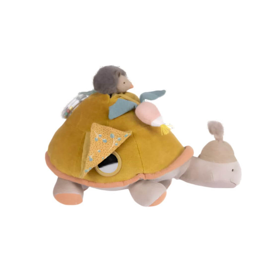 Garden Turtle Activity Toy