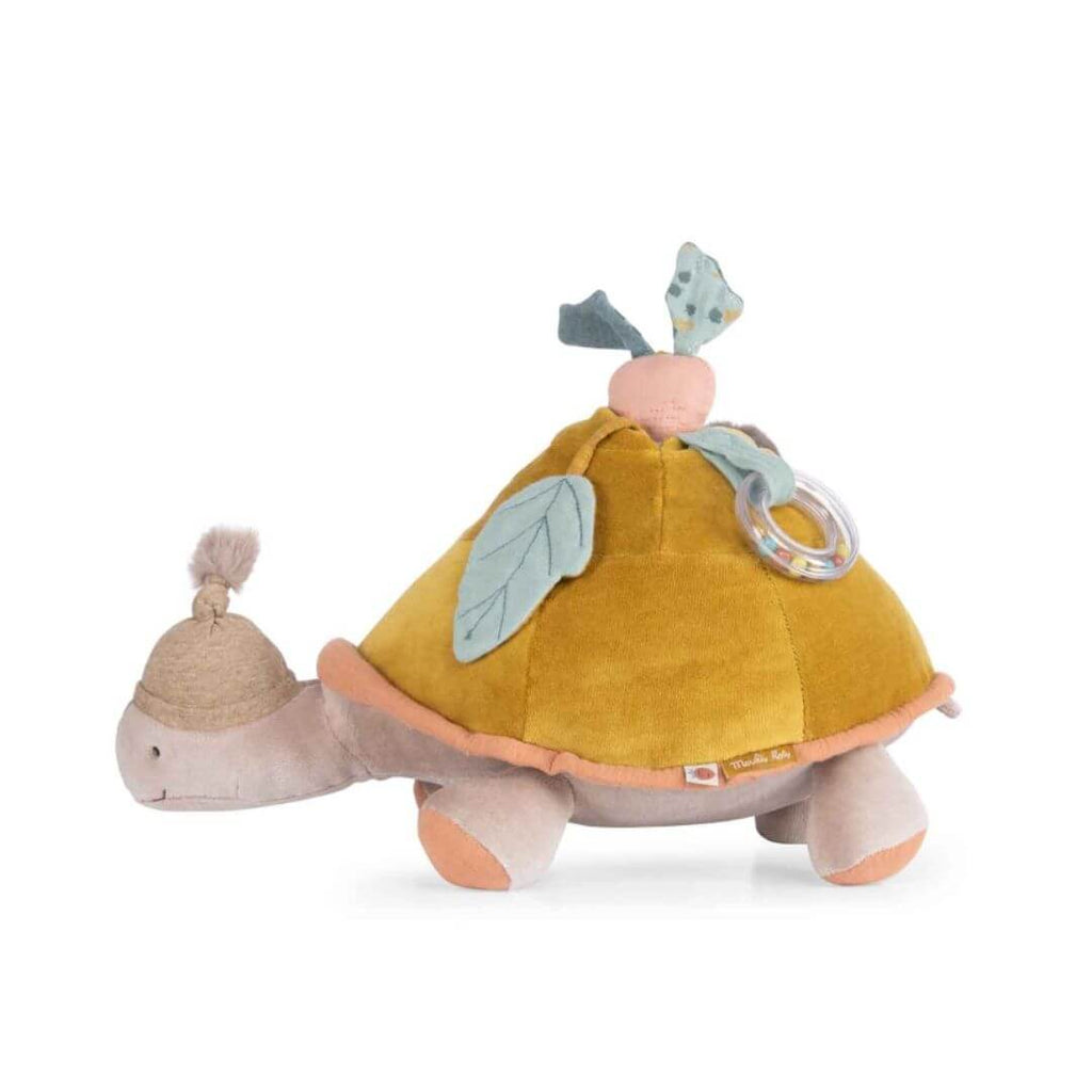 Garden Turtle Activity Toy