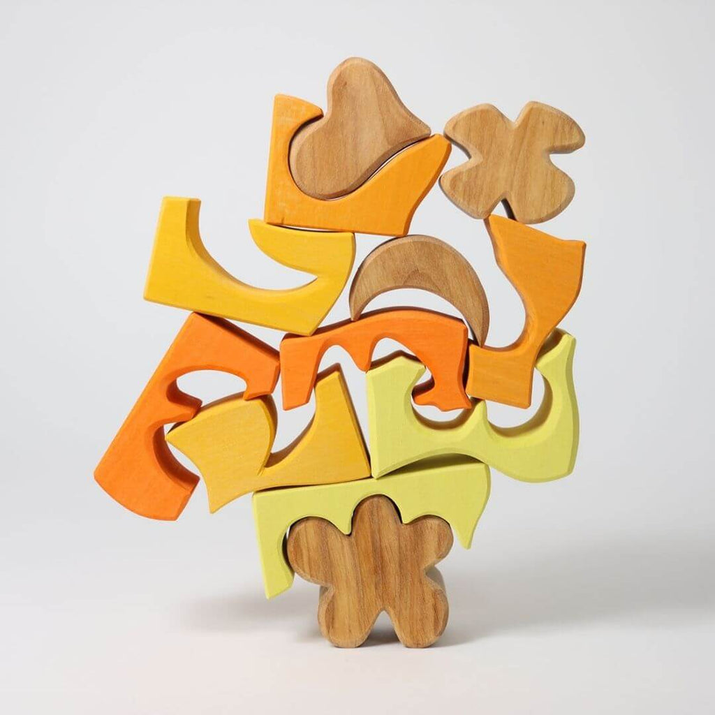 Wooden Puzzle & Building Sets