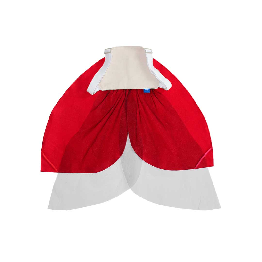 Ladybug Wings Costume