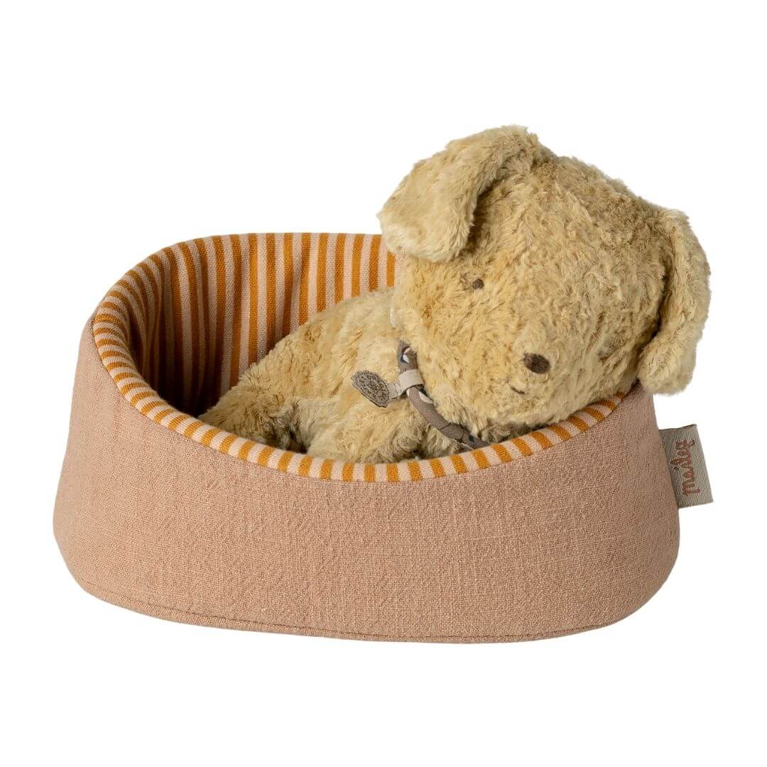 Pet Basket