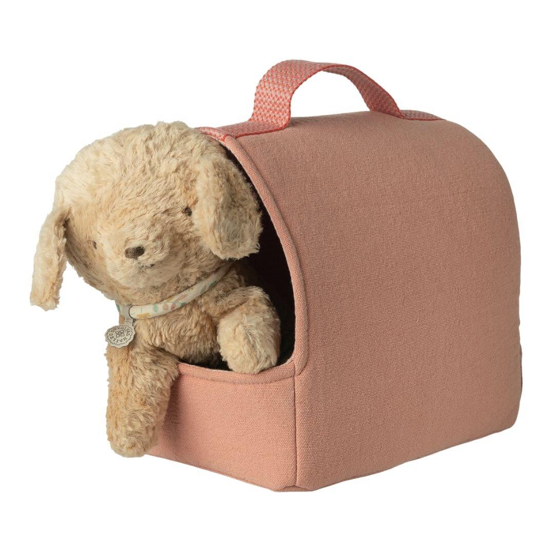 Pet Carrier