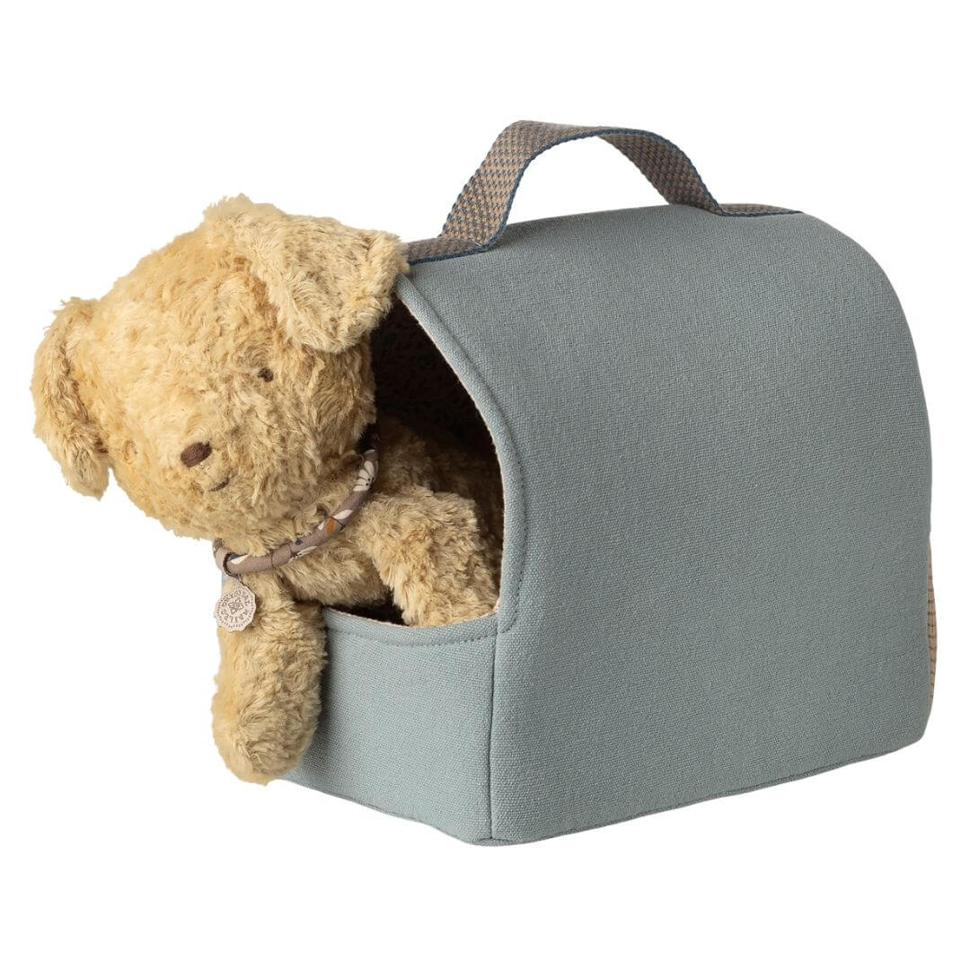 Pet Carrier
