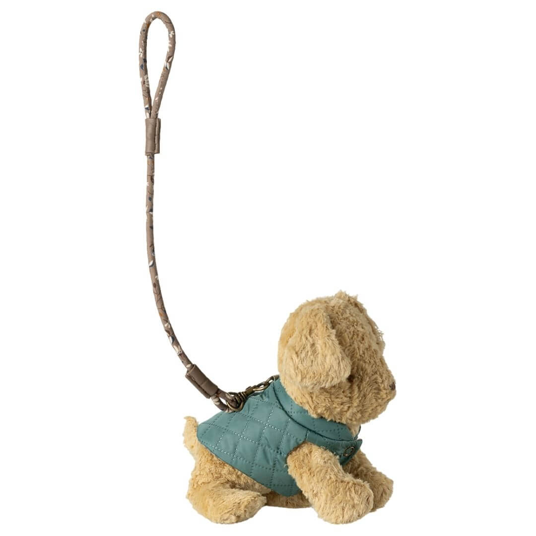 Pet Supply Essentials - Harness and Leash