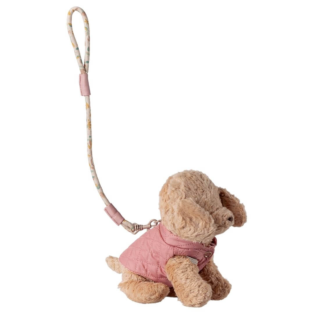 Pet Supply Essentials - Harness and Leash
