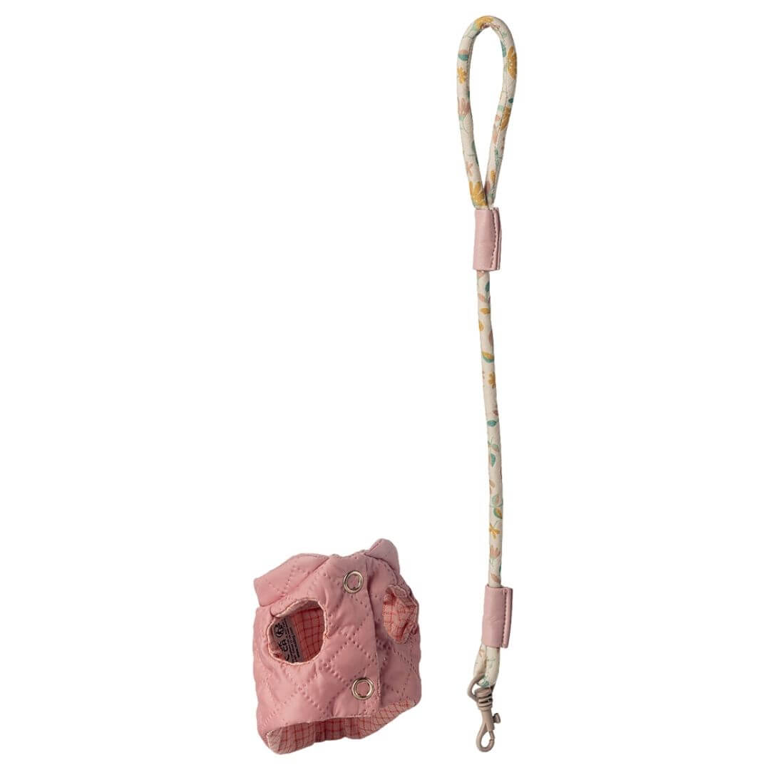Pet Supply Essentials - Harness and Leash