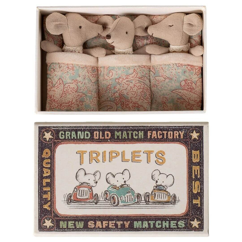 Baby Mice Triplets in a Matchbox