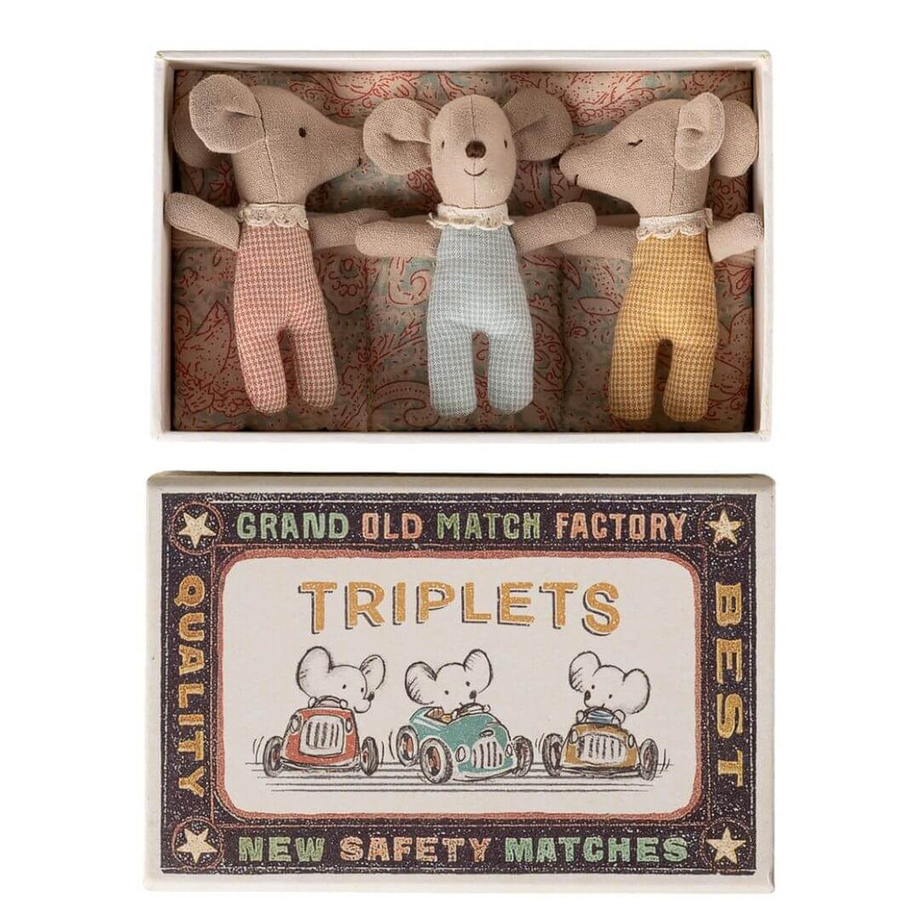 Baby Mice Triplets in a Matchbox