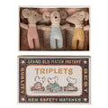 Baby Mice Triplets in a Matchbox