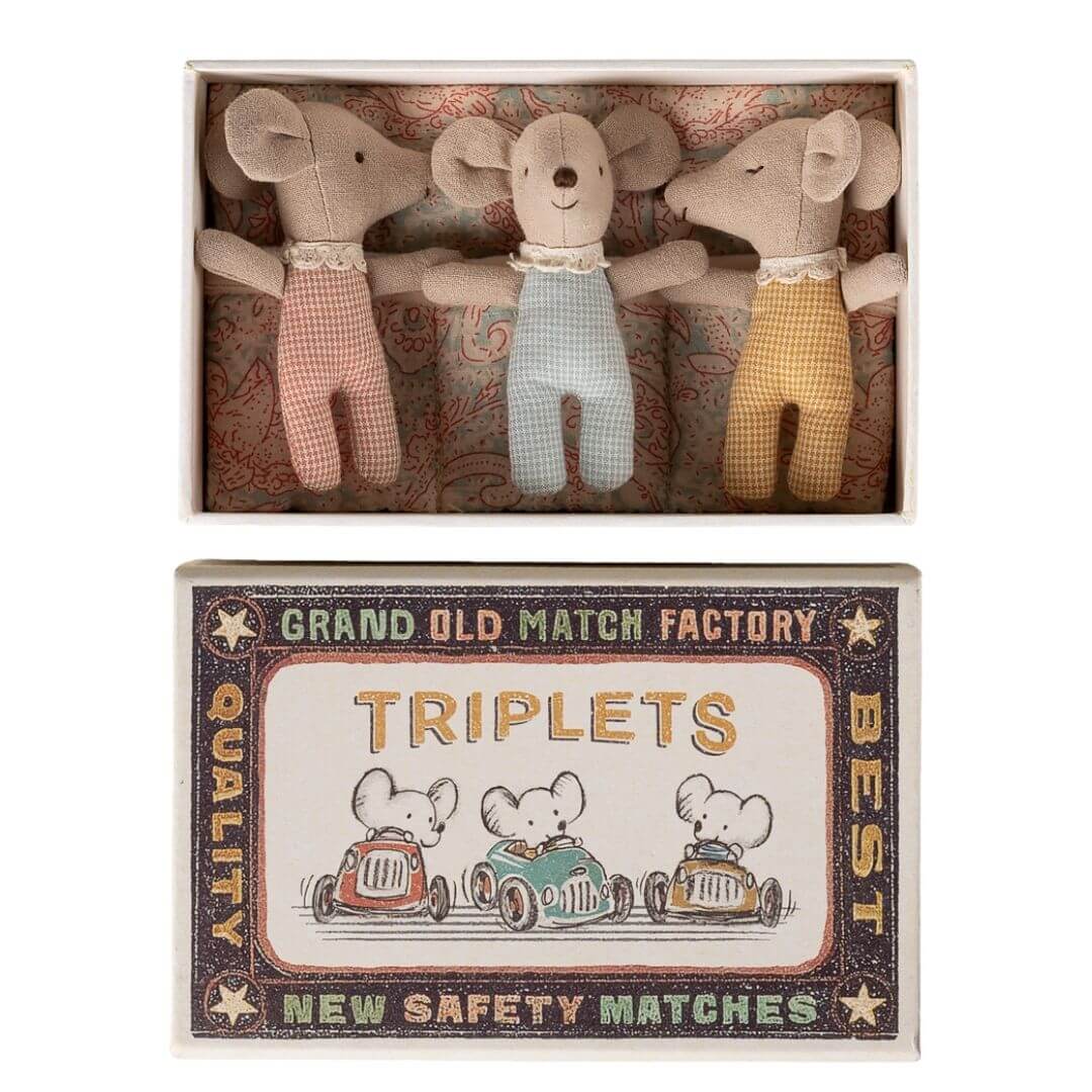 Baby Mice Triplets in a Matchbox