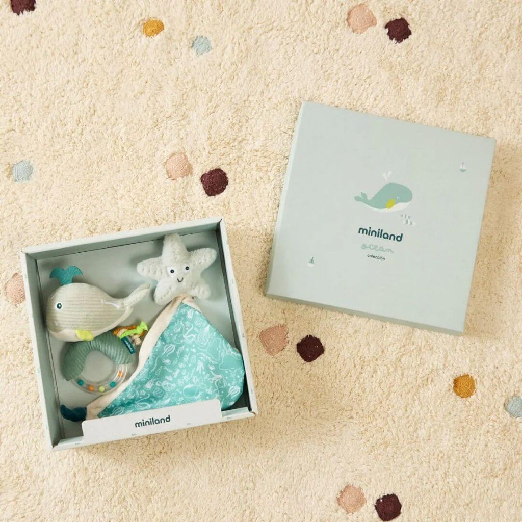 Little Whale Baby Gift Set