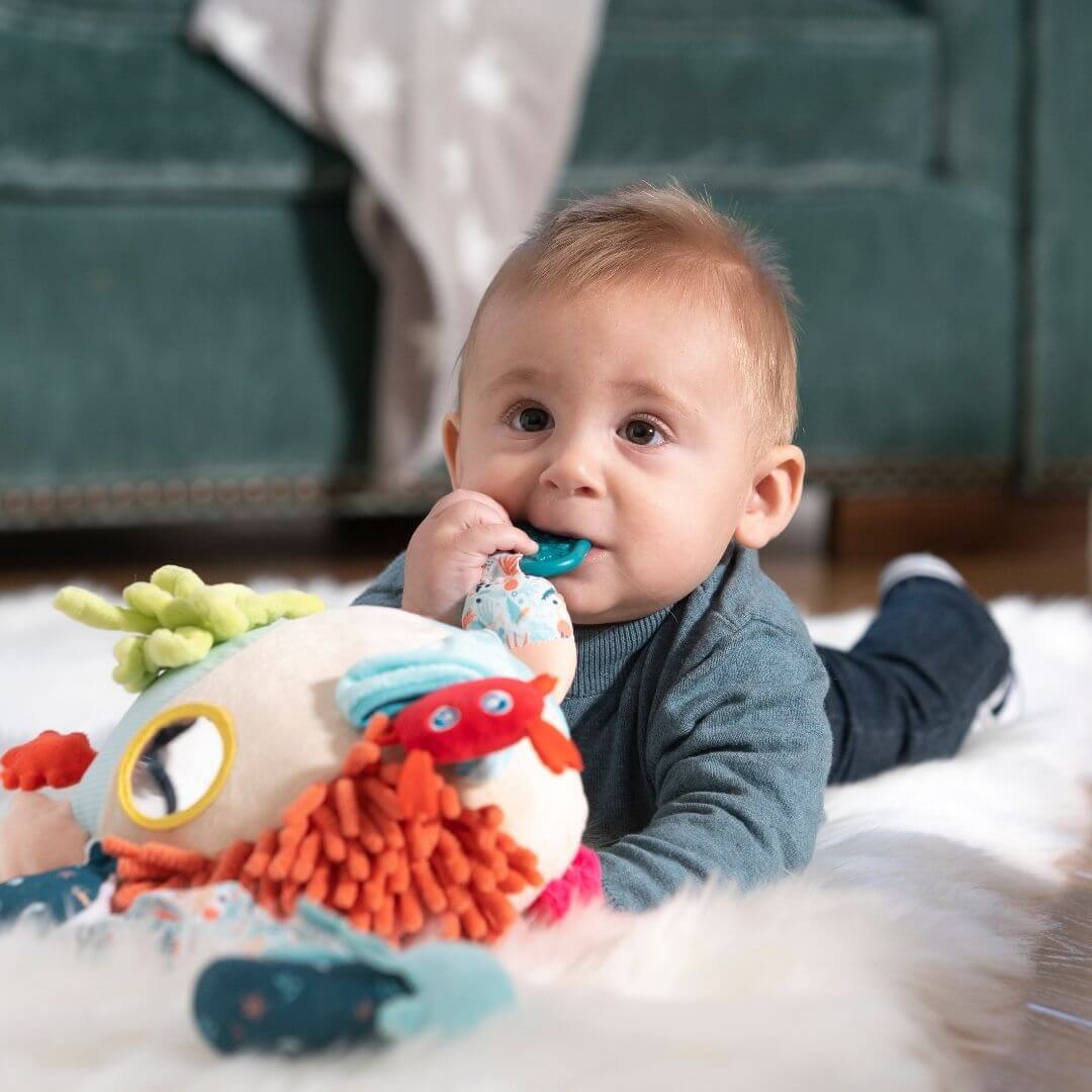 Sensorial Reef Activity Toy