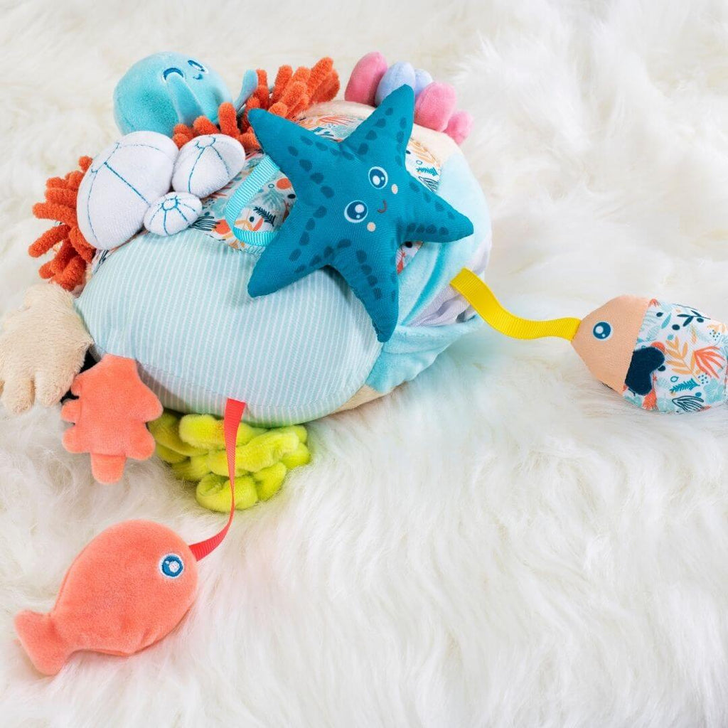 Sensorial Reef Activity Toy