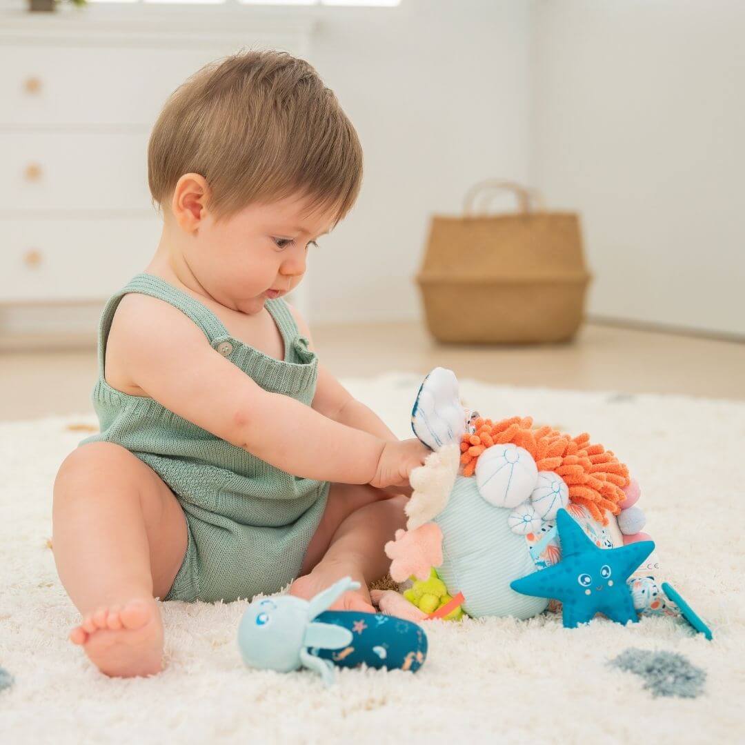 Sensorial Reef Activity Toy
