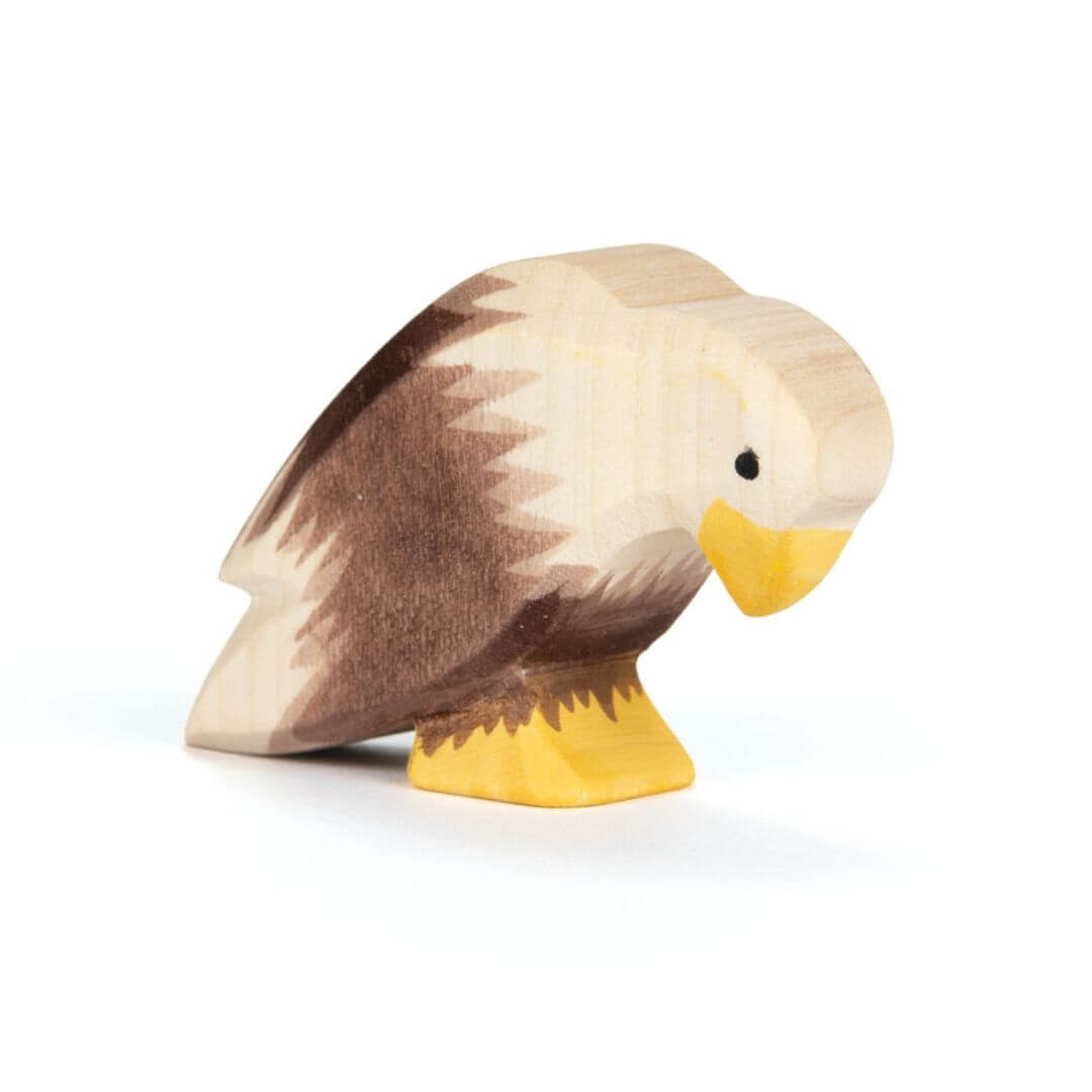 Ostheimer Bald Eagle Sitting