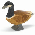 Ostheimer Canada Goose Standing