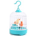 BirdyChirp