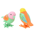 FlapFizz